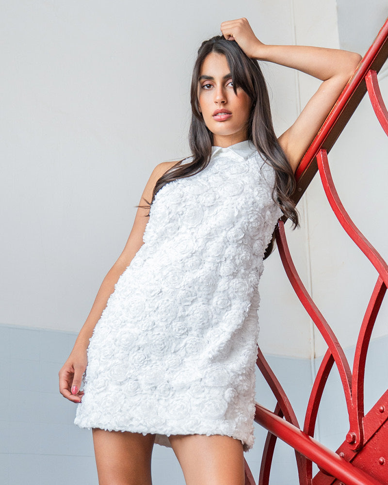 Summer Collection 25